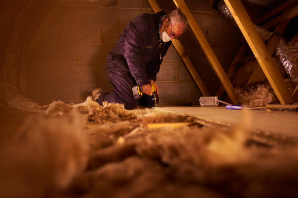 Types of Insulation We Offer in Culver City, CA